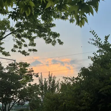 Profile image of 라더