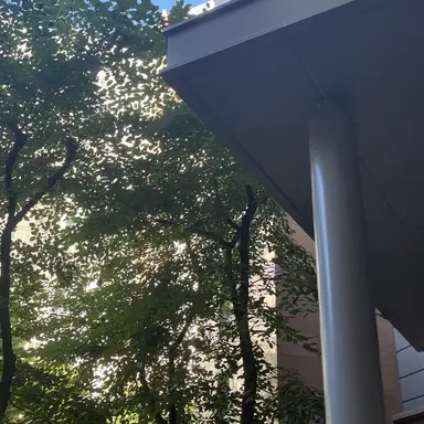 Profile image of 덕개