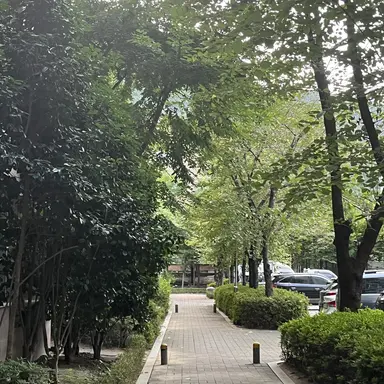 Profile image of 공룡