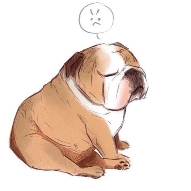ブル
