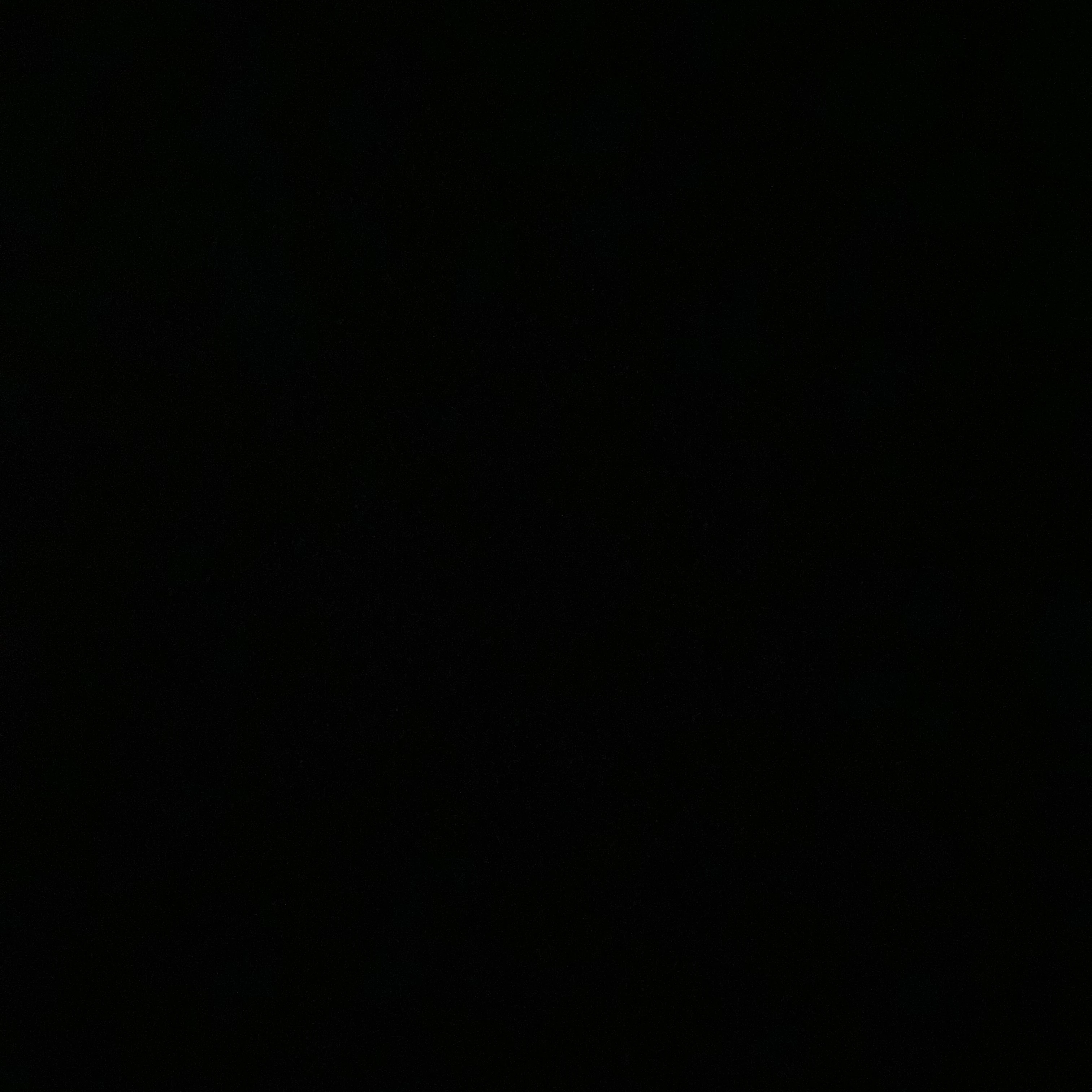 紹介