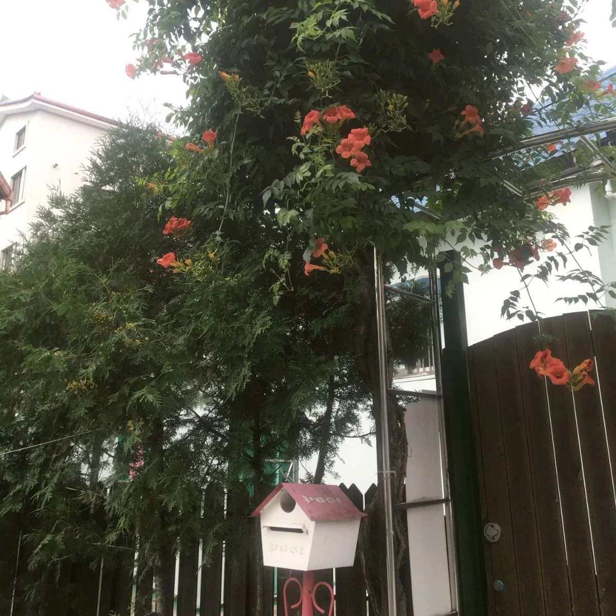 박종건