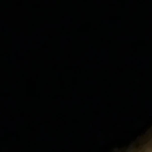 최범규