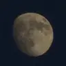 Profile image of Draco