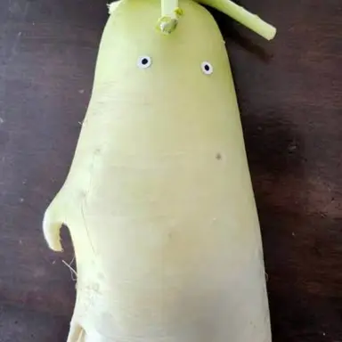 Profile image of Carrot