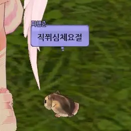 Profile image of 행키맹키