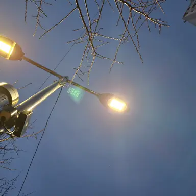 Profile image of 죠르노 죠바나