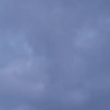 Profile image of 죠나단 죠스타