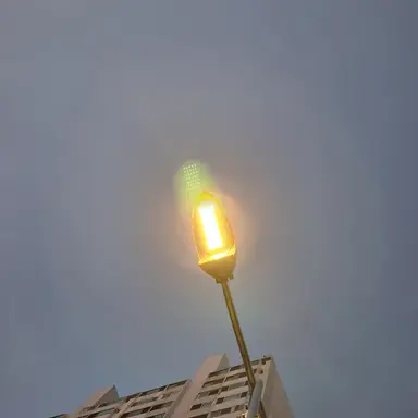 Profile image of 디오 브란도