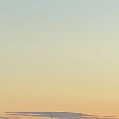 Profile image of 마코토