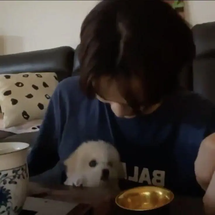 NCwork의 종천러