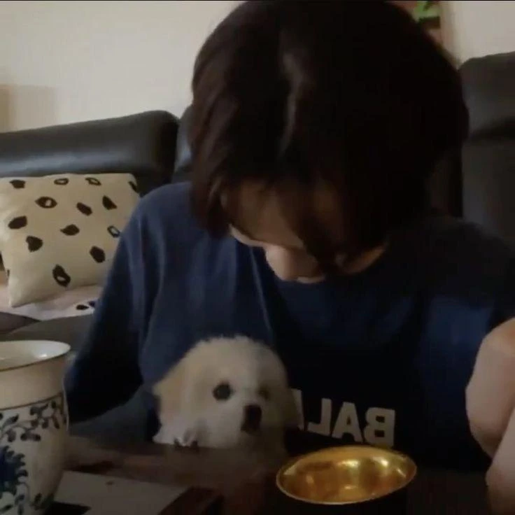 종천러