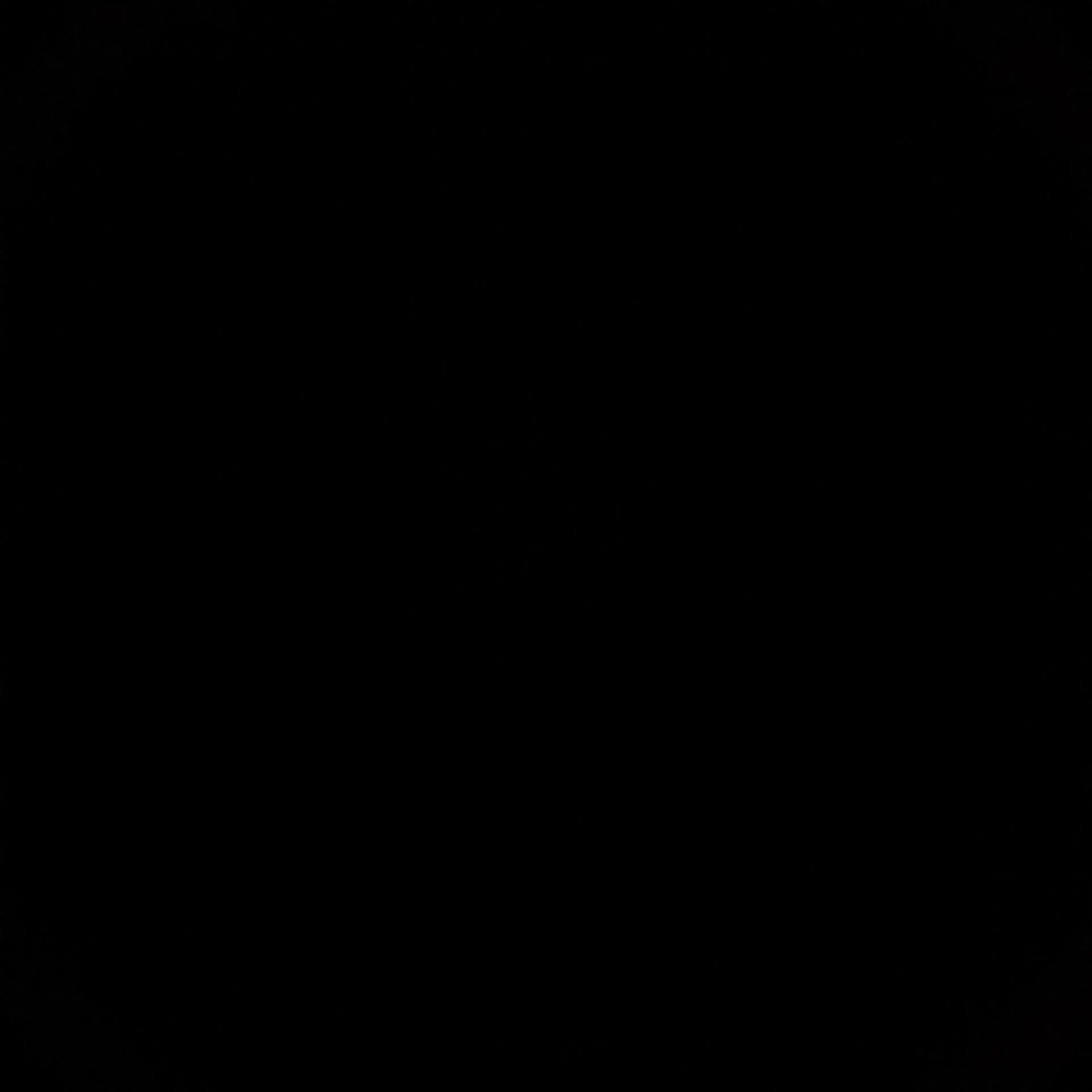 Honest1y의 이홍새