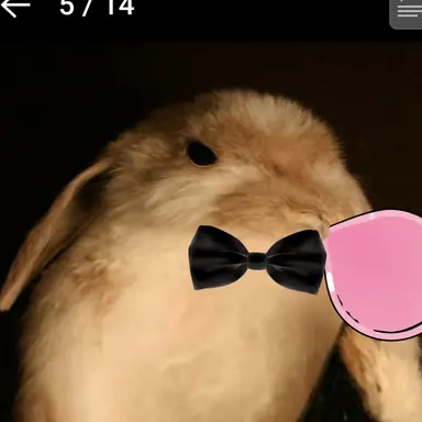 Profile image of 아빠