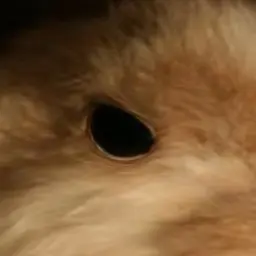 Profile image of 아빠