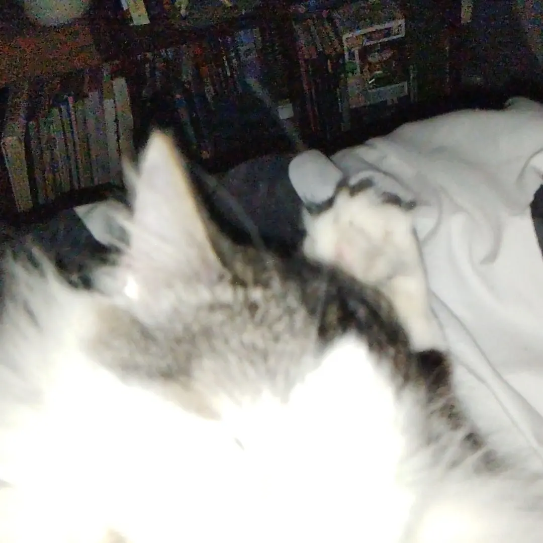 RichShow0939의 Beautiful Obsession