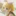 鏡音リン