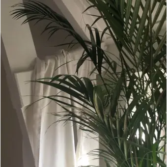 Profile image of 늑대인간