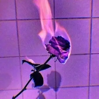 Profile image of 도플갱어