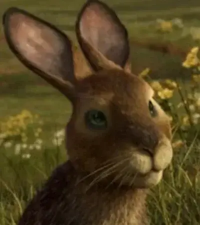 VastKing9699의 Hazel-Watership Down