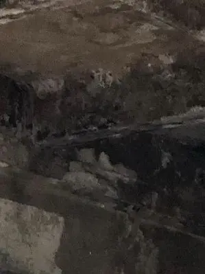 10seashell25의 조직의 수장이란 놈들