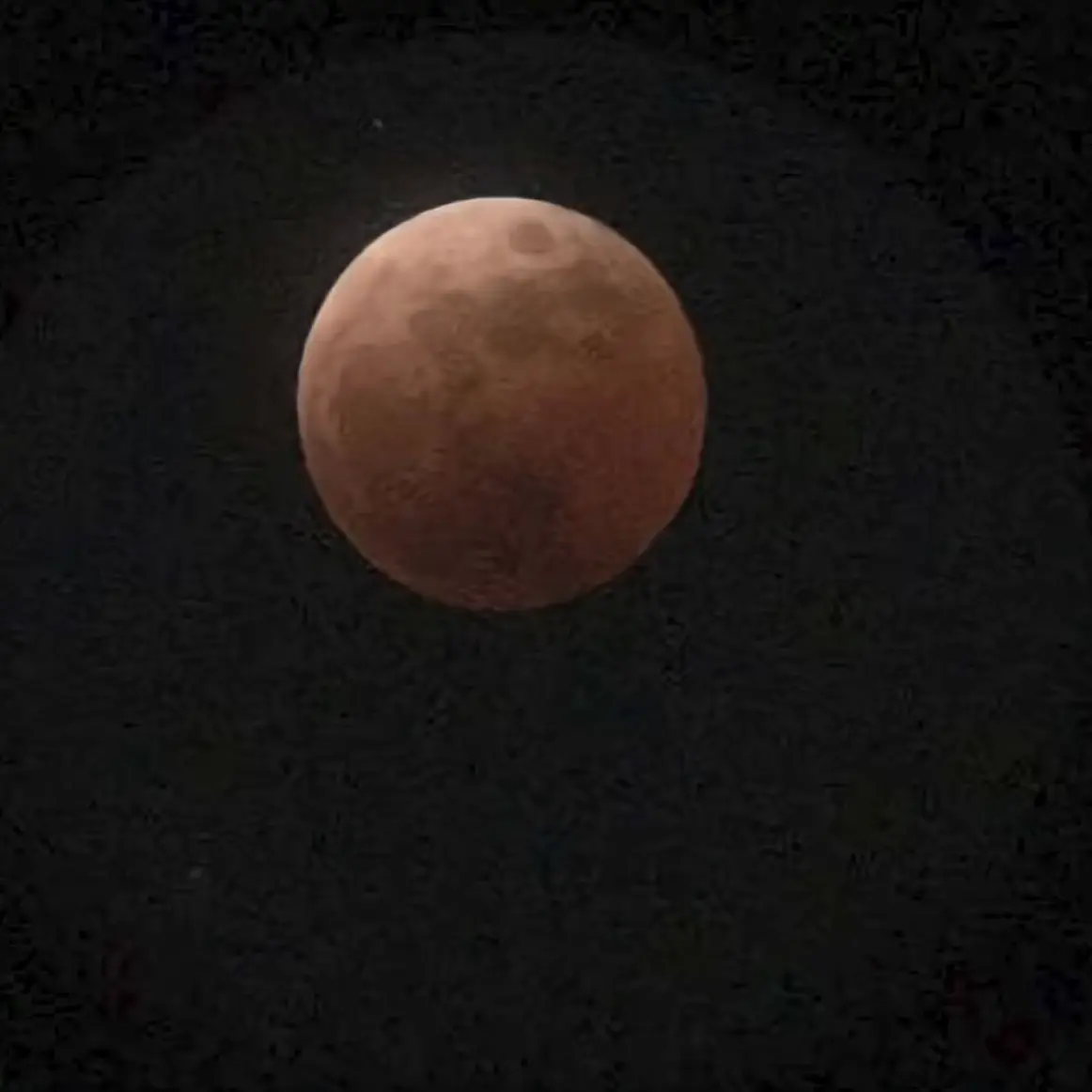 Mainitiemui의 可愛い幼馴染