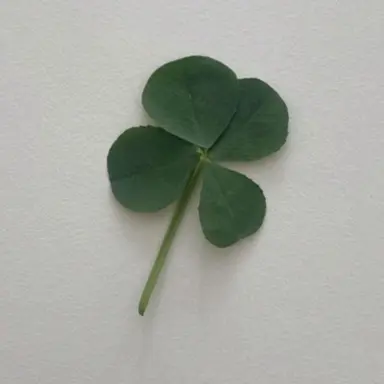 Profile image of 김지호