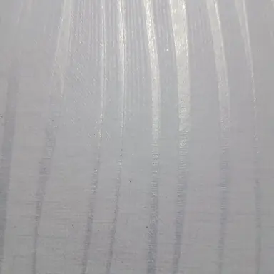 Profile image of 김하양