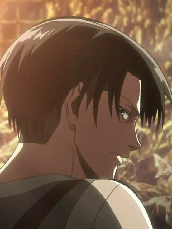 subtlety의 리바이 아커만