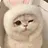 새끼냥이