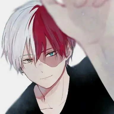 Profile image of Shoto Todoroki