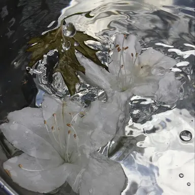 Profile image of 루카스