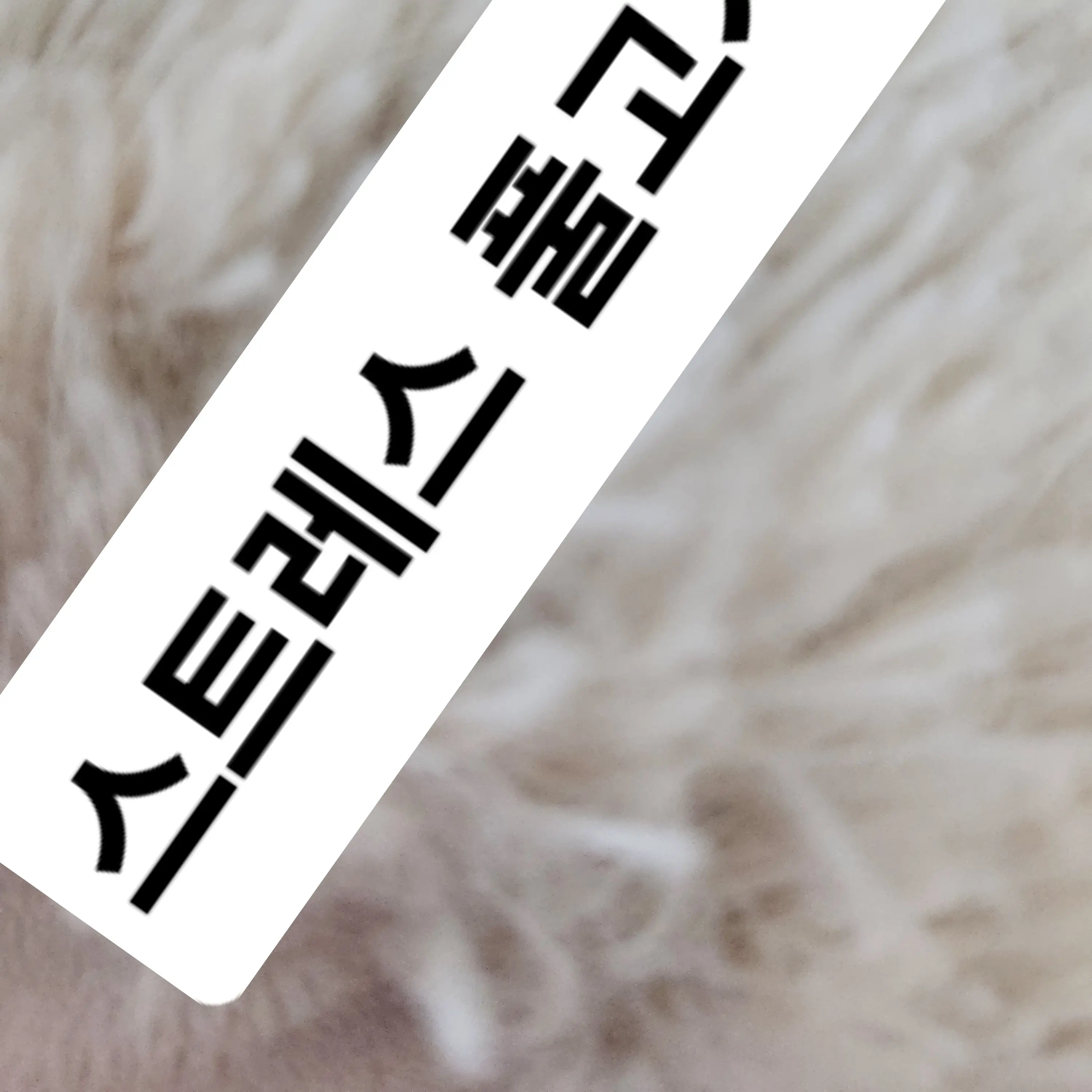 PorousCloud2768의 스트레스 풀고가요