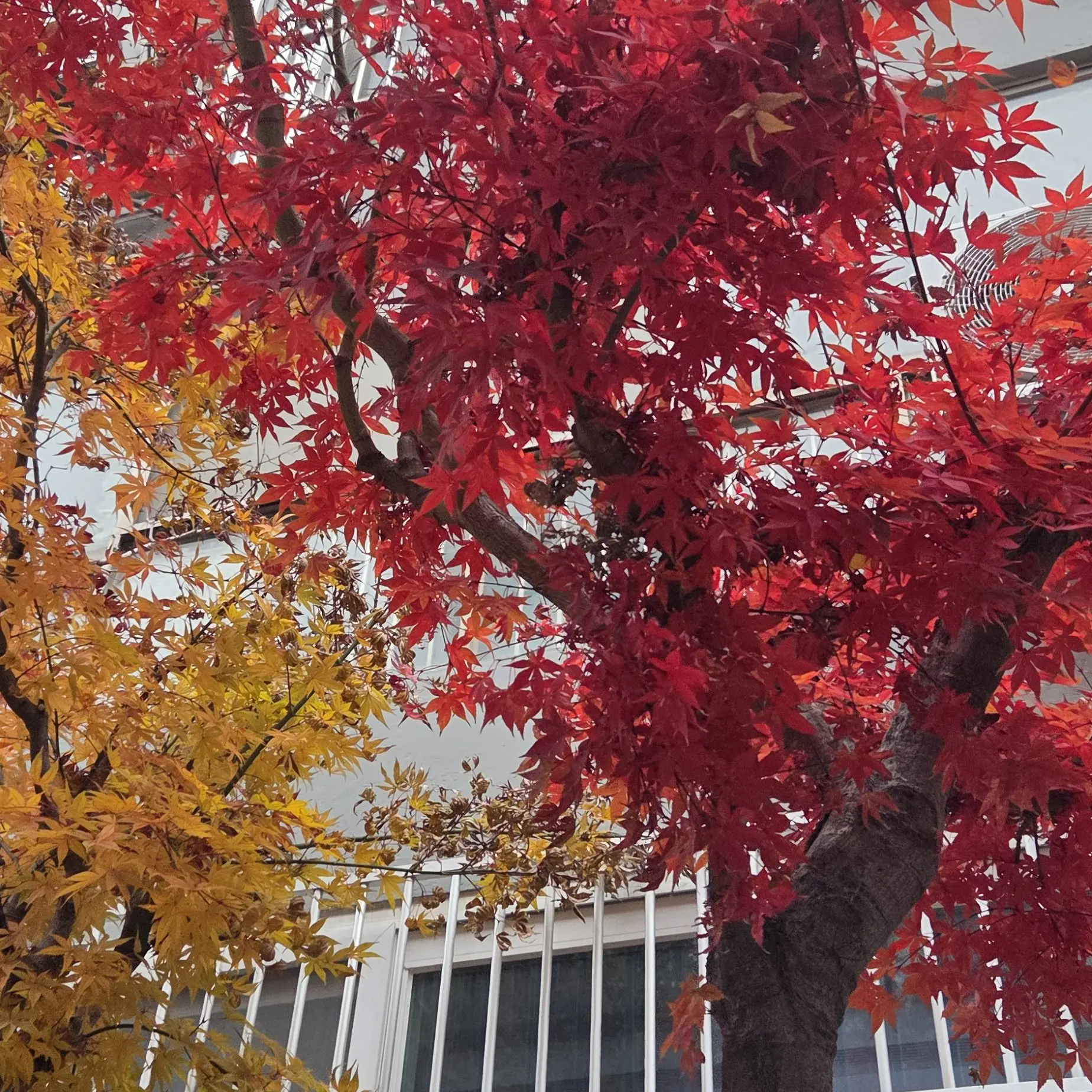 MatureMedal5761의 공포영화보는중에들어온두사람