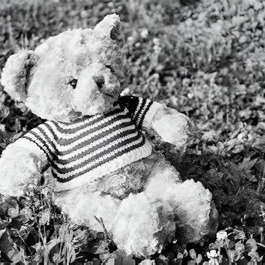 Profile image of 大森元貴