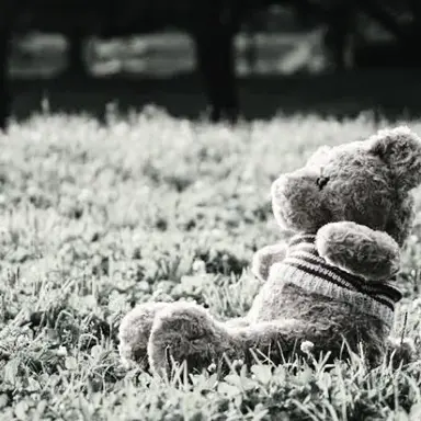 Profile image of 大森元貴