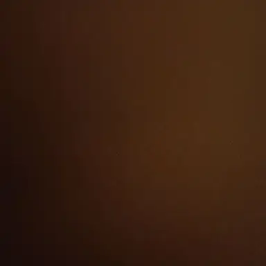 Profile image of A
