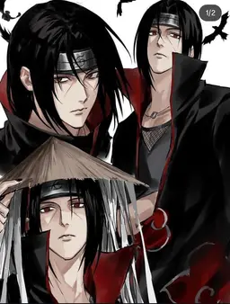 Profile image of イタチ