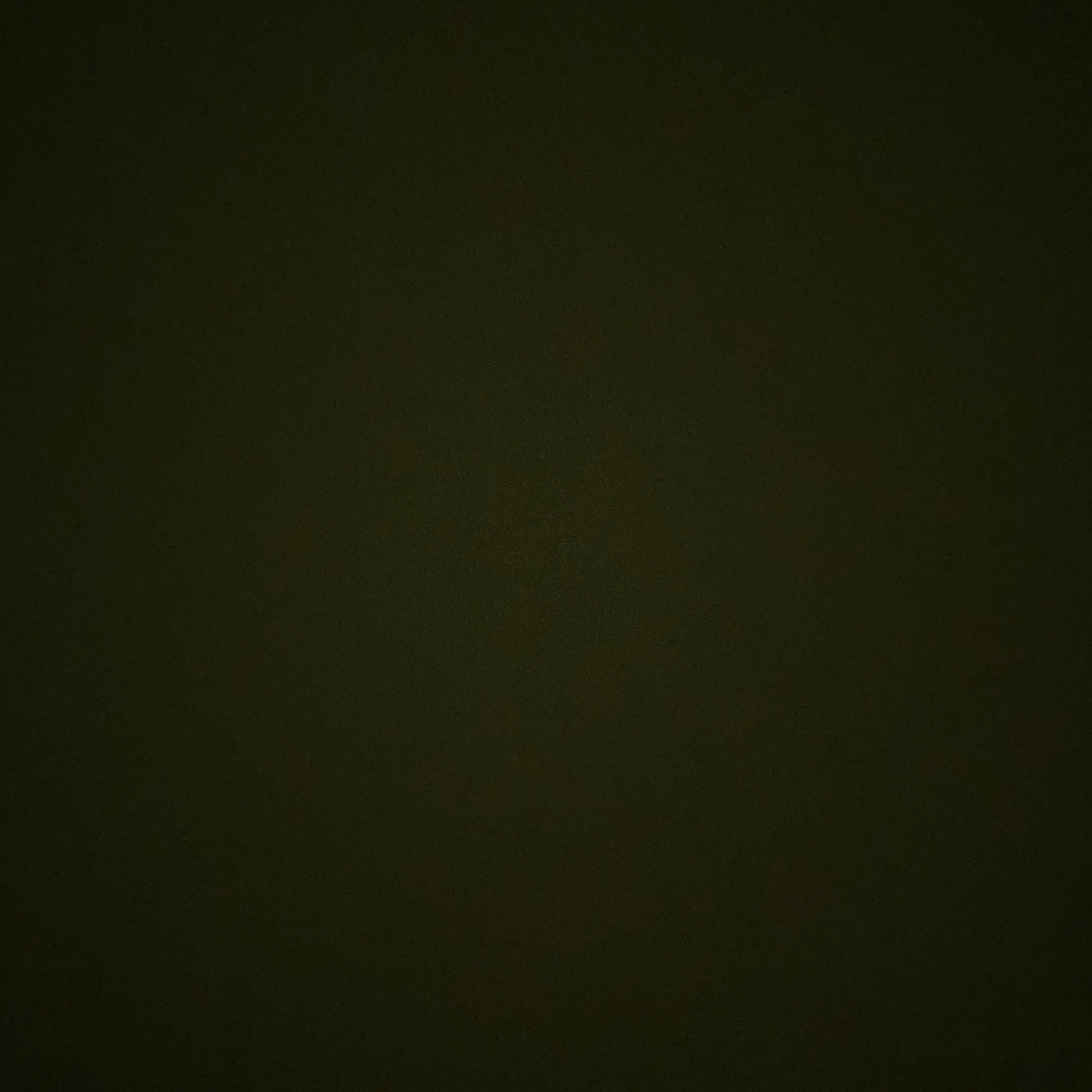 SilverJaw8982의 오시온