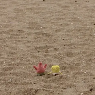 Profile image of 오해원