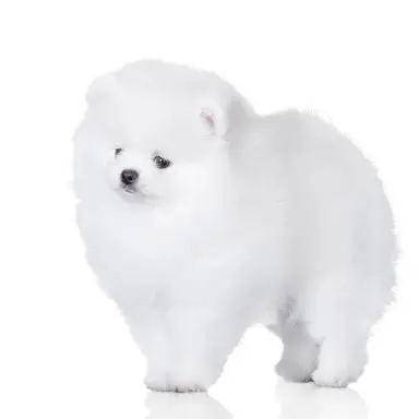 Profile image of クァク・ジェガン