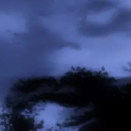 Profile image of 父