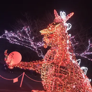 Profile image of どば師匠