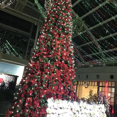 Profile image of ペロ愛男爵