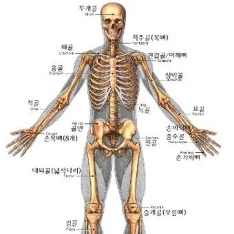 Profile image of 쇼쿠진