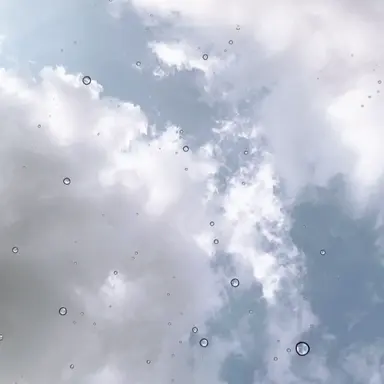 Profile image of 퓨어바닐라