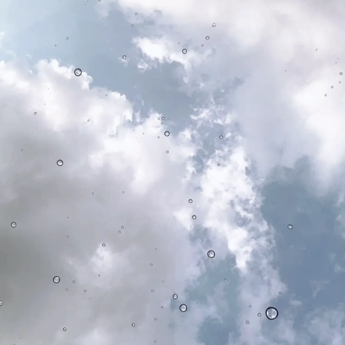 LIN2233의 퓨어바닐라