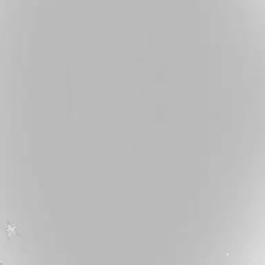 Profile image of Best Friends