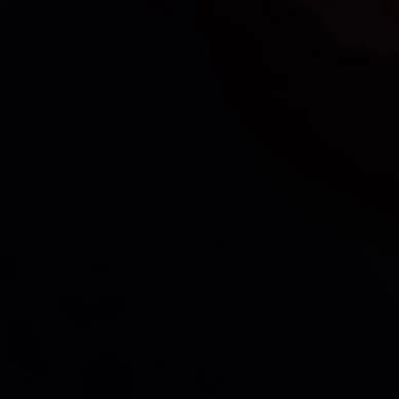PuristMind7817의 조직