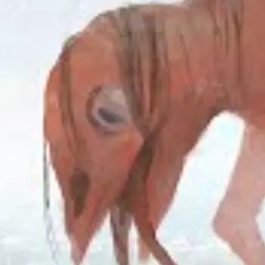 Profile image of 괴물